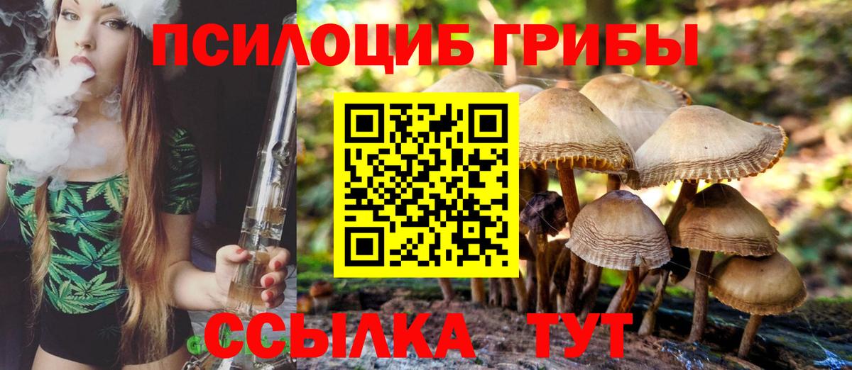 Псилоцибиновые грибы MAGIC MUSHROOMS  Вход с VPN  Холмск 