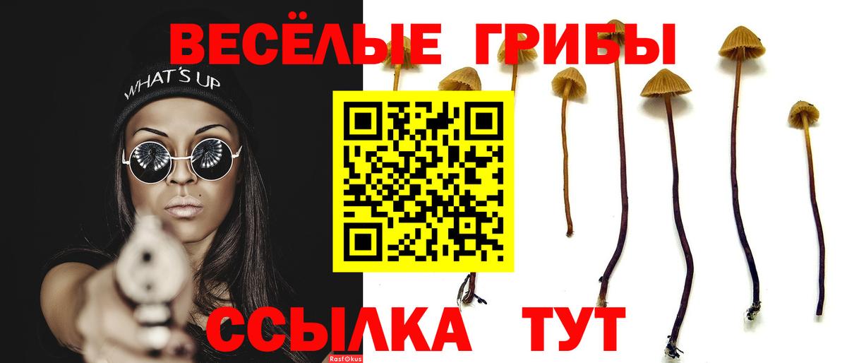 Псилоцибиновые грибы мухоморы Холмск